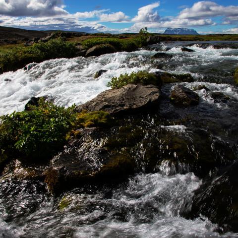 Flúðir. Fjallið Skjaldbreiður í fjarska